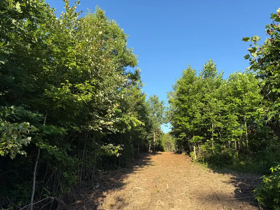 00 Hwy 301 #Lot 3 & 4, Trenton, GA 30752 - #2