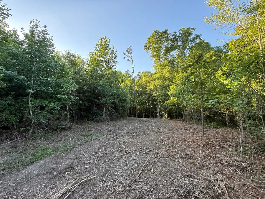 00 Hwy 301 #Lot 3 & 4, Trenton, GA 30752 - #3