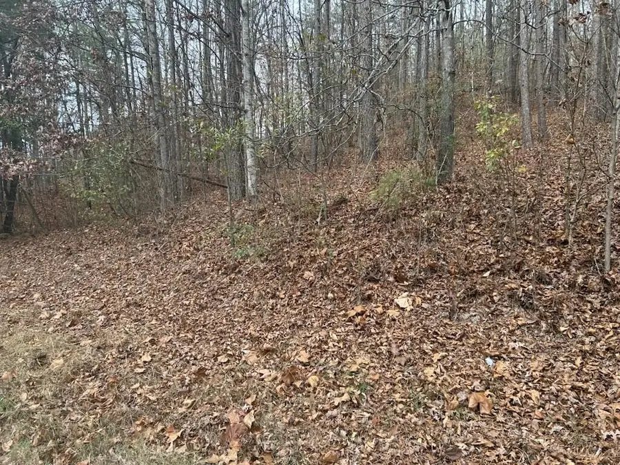 00 Old Chattanooga Road, Tunnel Hill, GA 30755 - #2
