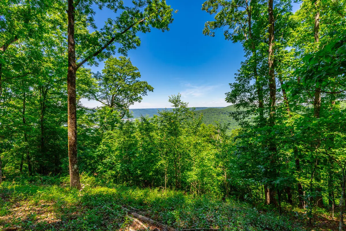 0 Volunteer Street #362, Jasper, TN 37347 - #1
