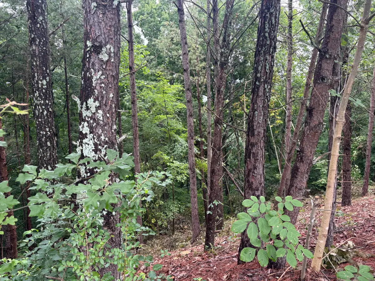 0 NW Benjamin Circle, Cleveland, TN 37312 - #1