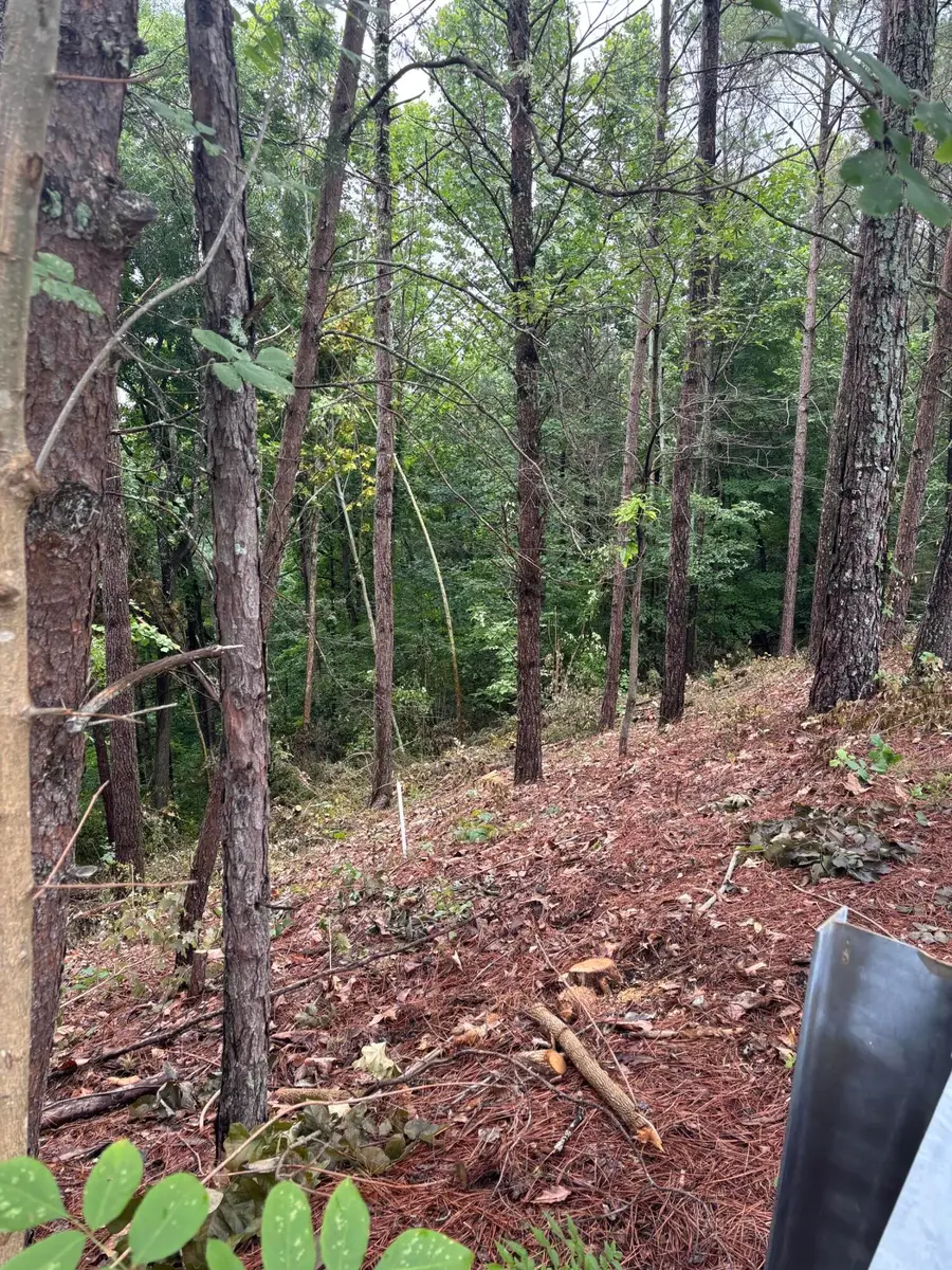 0 NW Benjamin Circle, Cleveland, TN 37312 - #2
