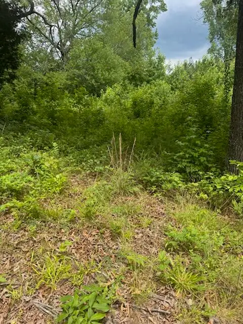0 Stewart Road, Ringgold, GA 30736 - #1