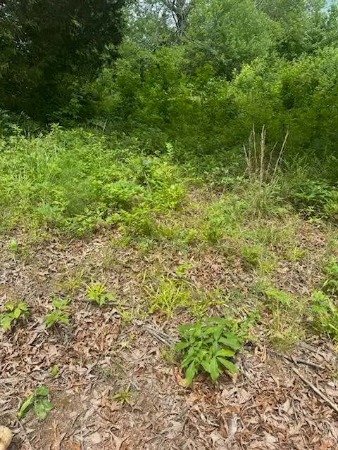 0 Stewart Road, Ringgold, GA 30736 - #3