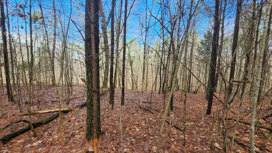 0 Crockett Point #Lot 561, Jasper, TN 37347 - #3