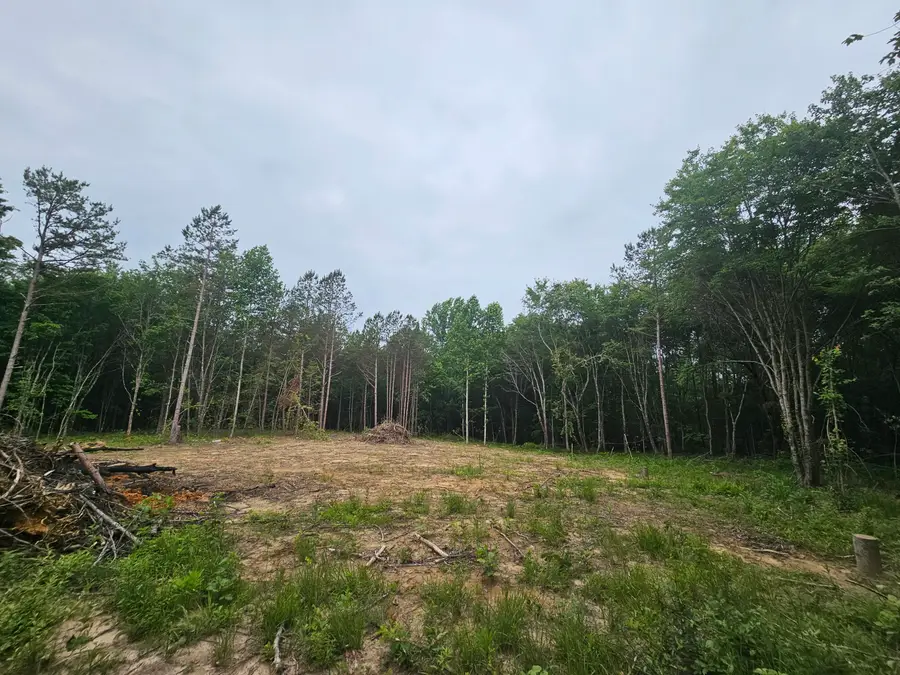 229 Windstone Drive, Tracy City, TN 37387 - #3