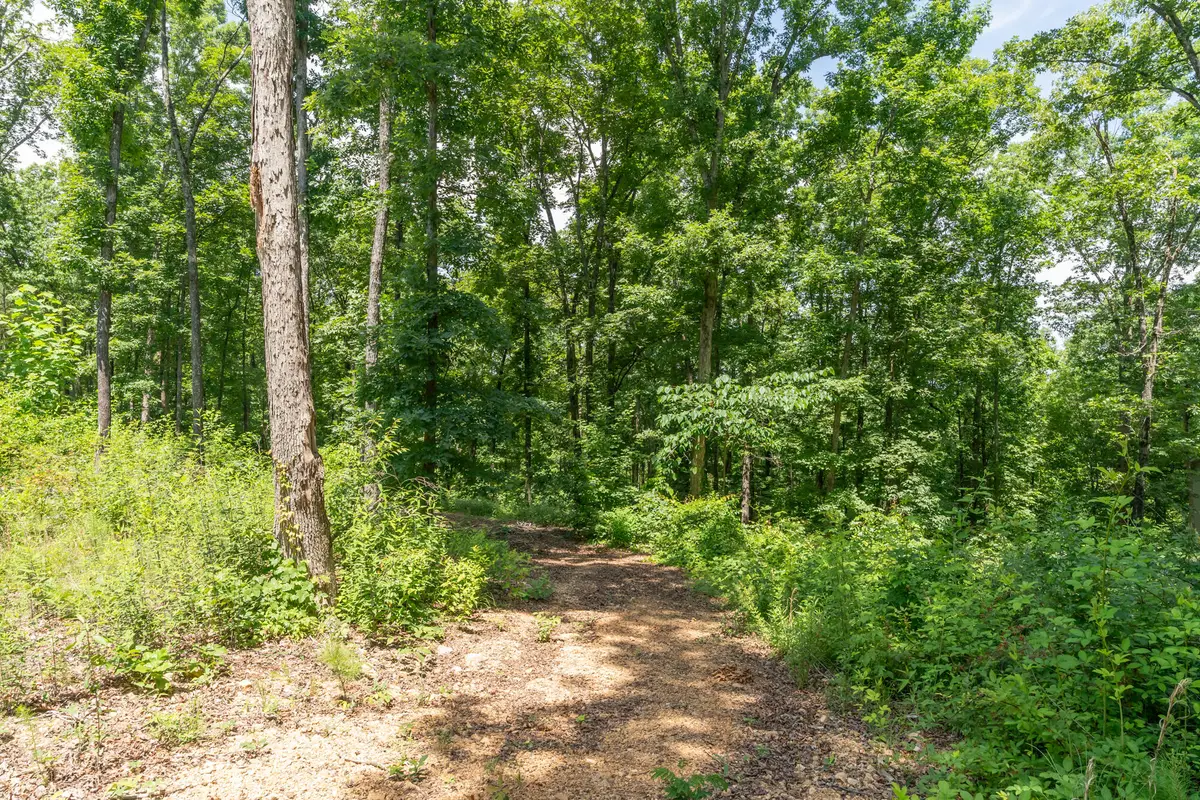 8833 Kelso Lane, Chattanooga, TN 37421 - #1