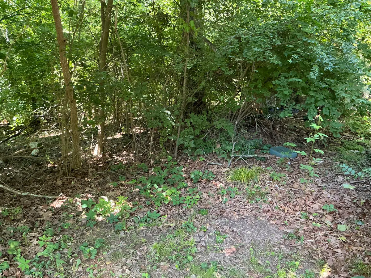 000 Winding Lane, Hixson, TN 37343 - #1
