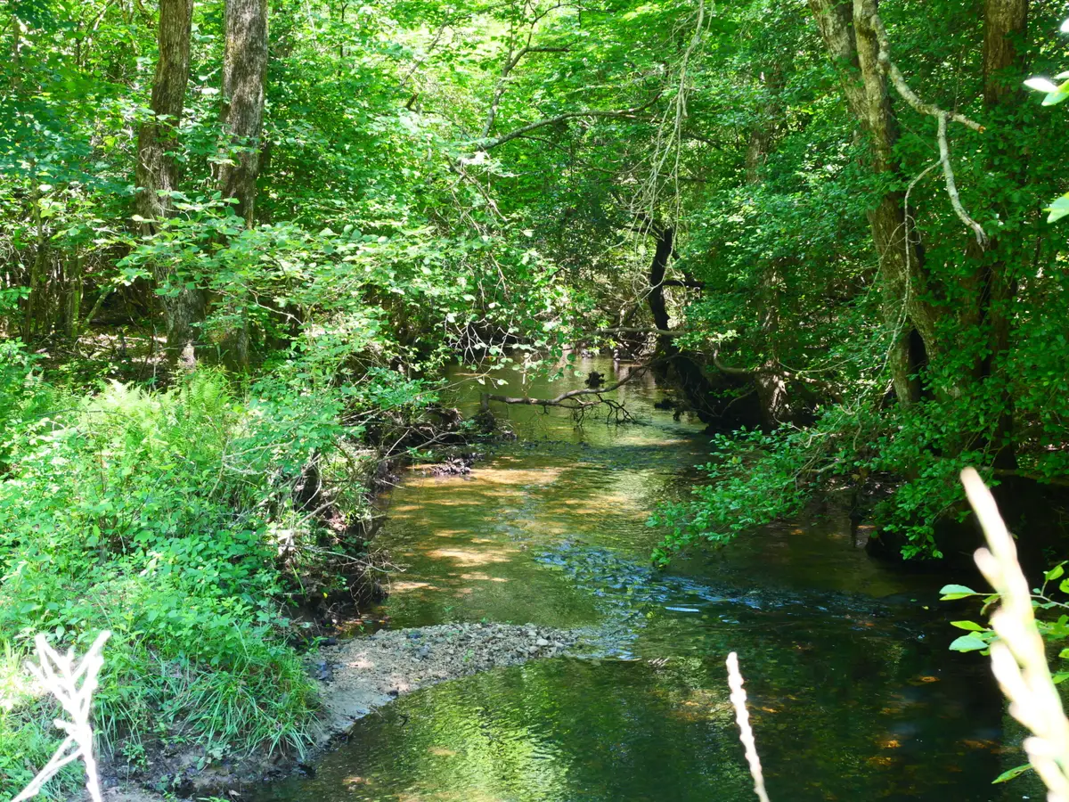0 Gap Rd E Of Road, Whitwell, TN 37397 - #1