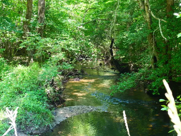 0 Gap Rd E Of Road, Whitwell, TN 37397