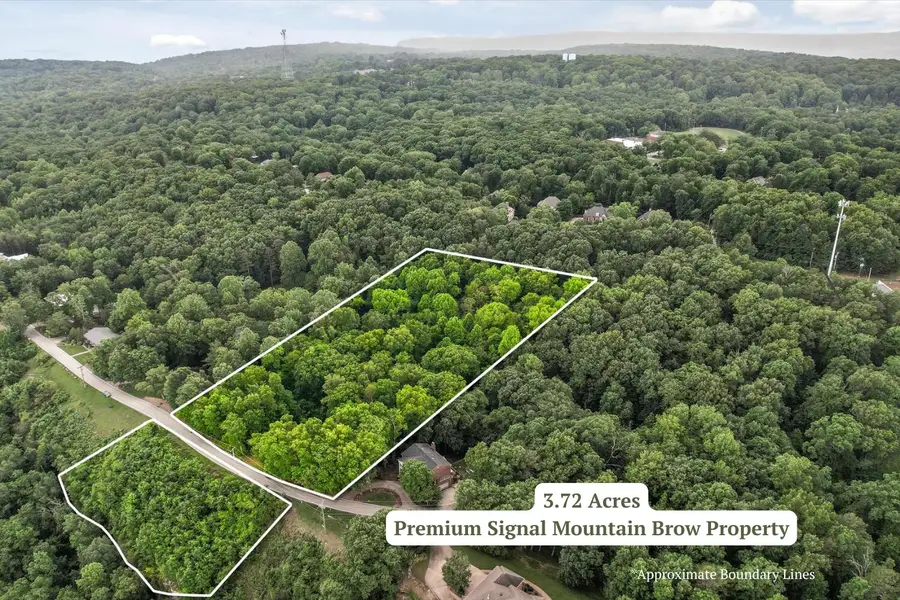 0 E Brow Road, Signal Mountain, TN 37377 - #3
