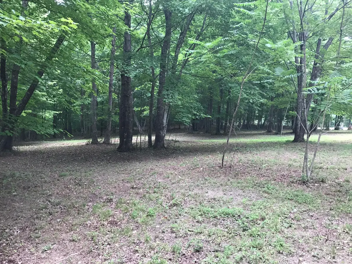 503 Wilderness Way #503, Dunlap, TN 37327 - #1