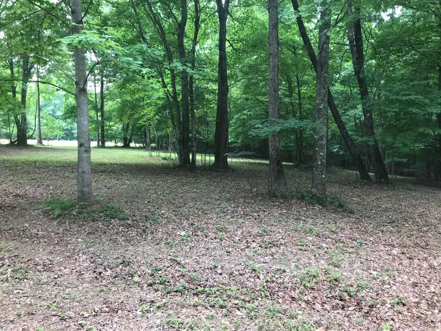 503 Wilderness Way #503, Dunlap, TN 37327 - #2
