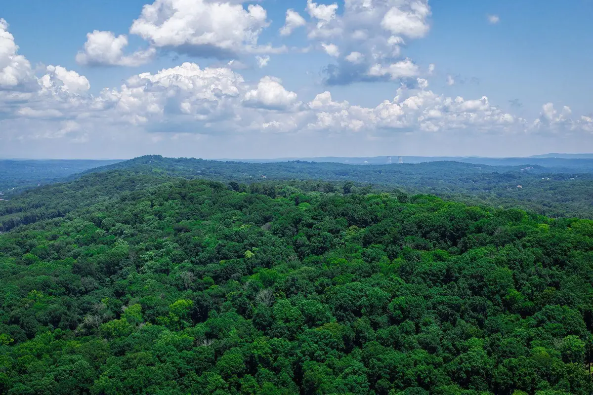 4825 Gann Store Road, Hixson, TN 37343 - #1