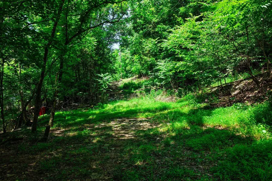 4825 Gann Store Road, Hixson, TN 37343 - #3