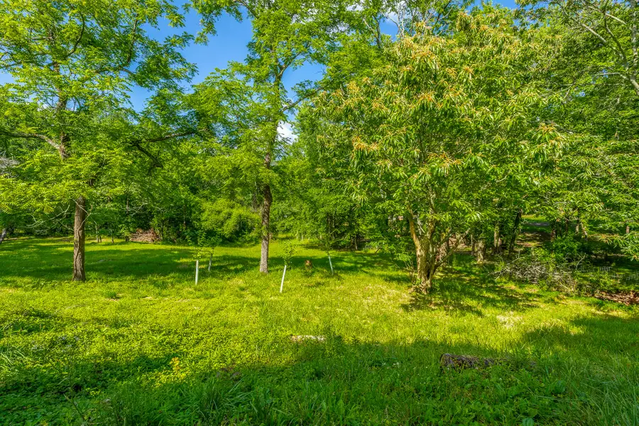 1003 Smith Spring Street, Signal Mountain, TN 37377 - #2