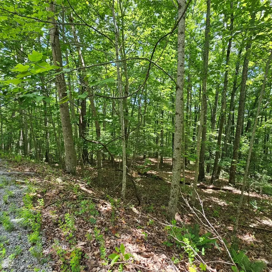 Lot 555 Oak Leaf Lane #555, Dunlap, TN 37327 - #2