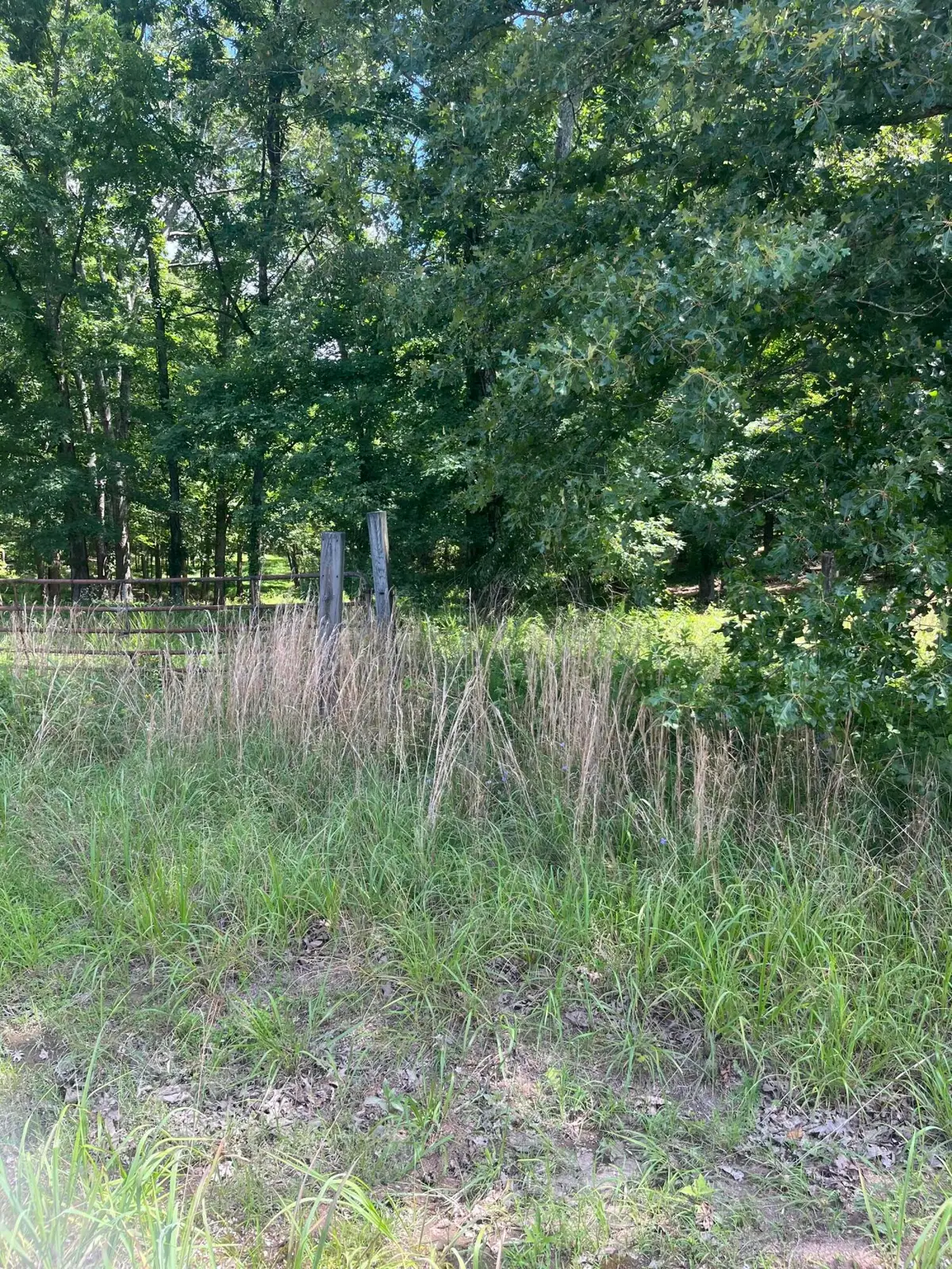 12702 Cranfield Road, Birchwood, TN 37308 - #1