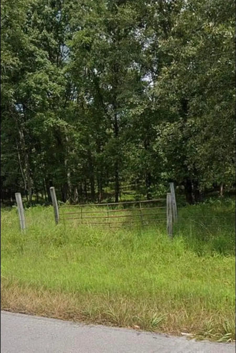 12702 Cranfield Road, Birchwood, TN 37308 - #3