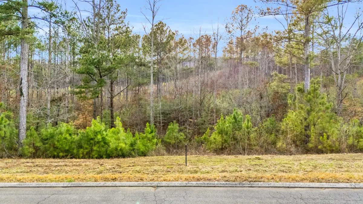 110 Quail Lane, Ocoee, TN 37361 - #1