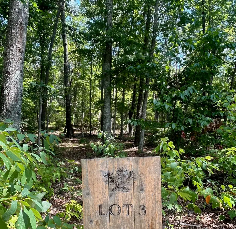 0 Still Creek Road #Lot 3, Rising Fawn, GA 30738 - #2