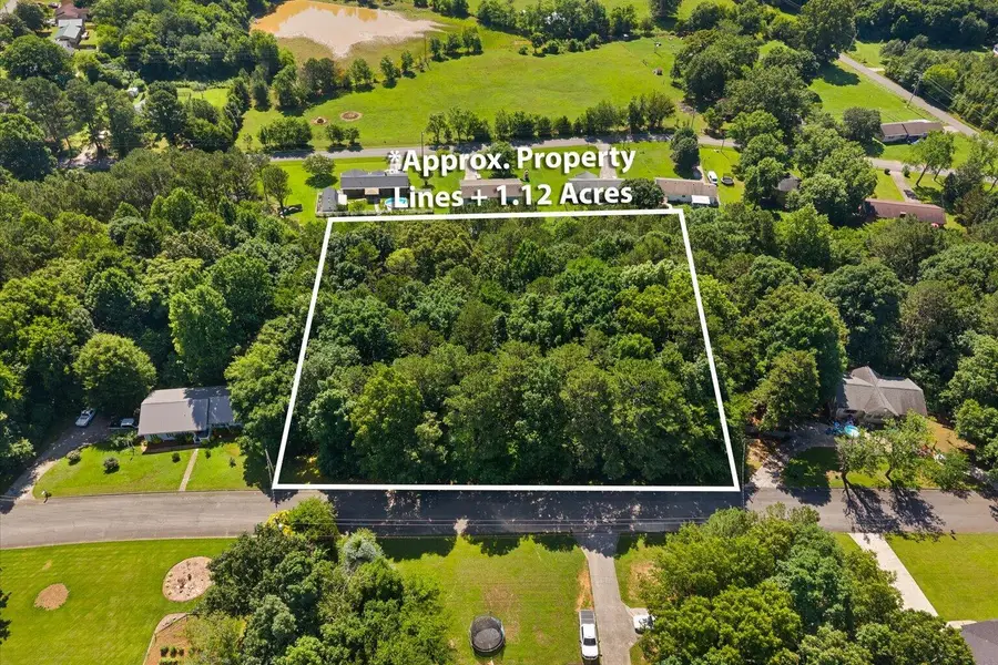 Lot 59 Panorama Drive, Cohutta, GA 30710 - #2