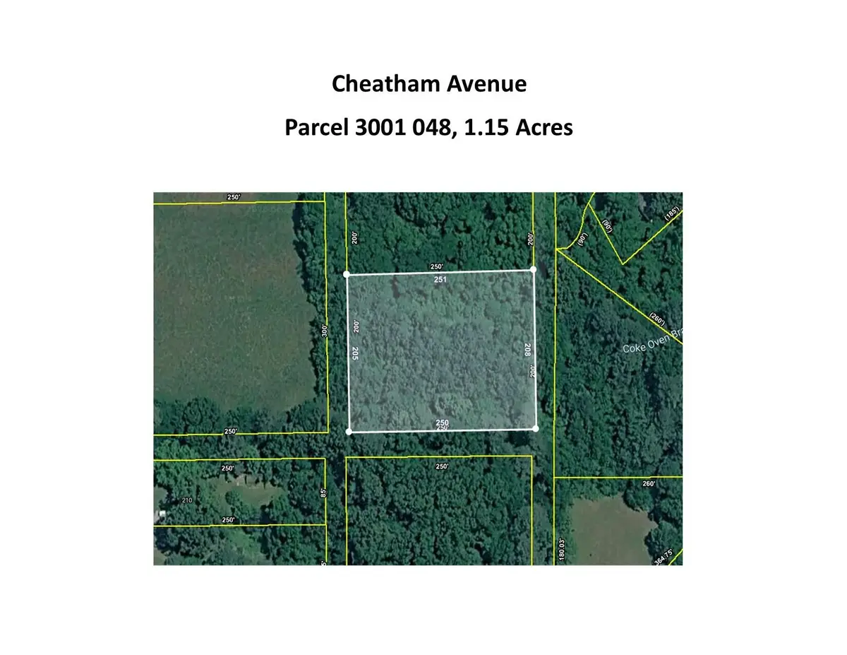 0 Cheatham Avenue, Chickamauga, GA 30707 - #1