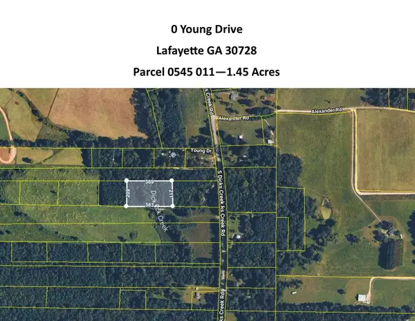 0 Young Dr Road, LaFayette, GA 30728