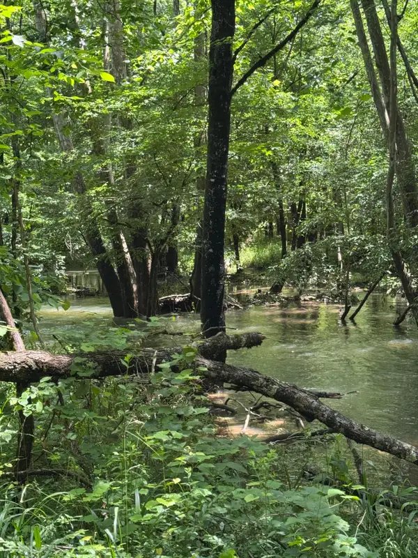 2784 Fiery Gizzard Road, South Pittsburg, TN 37380