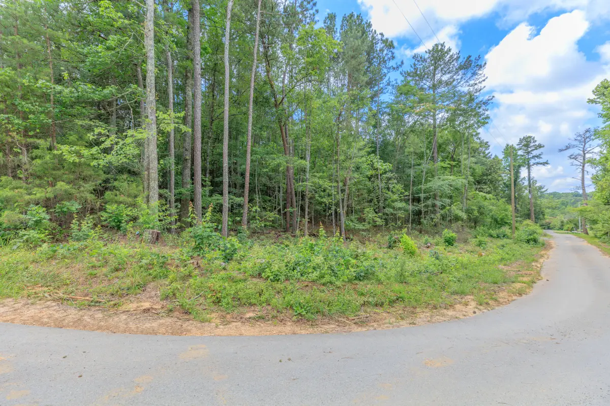 0 Wallaceville Cemetery Road, Chickamauga, GA 30707 - #1