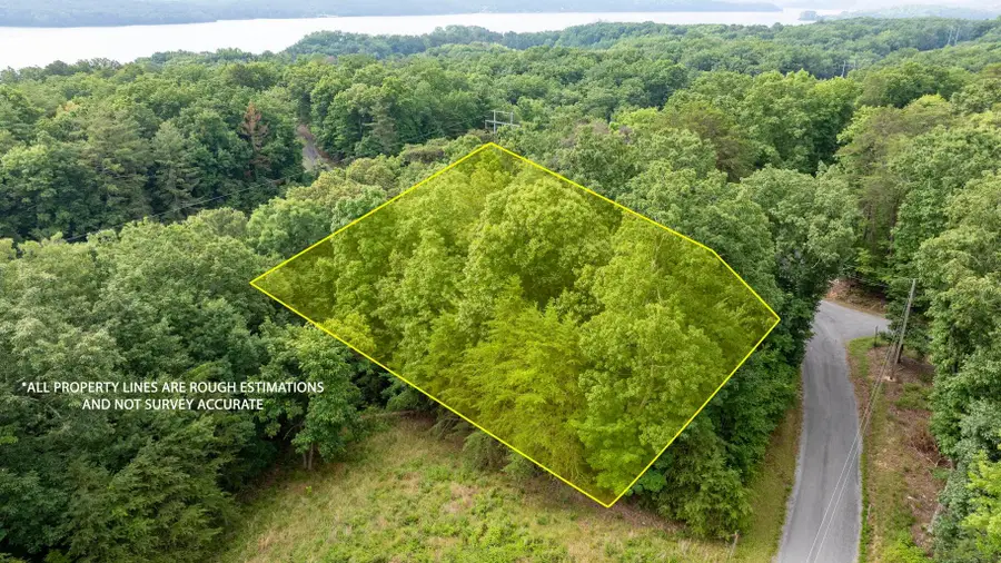 Lot 165 Maple Drive, Spring City, TN 37381 - #2