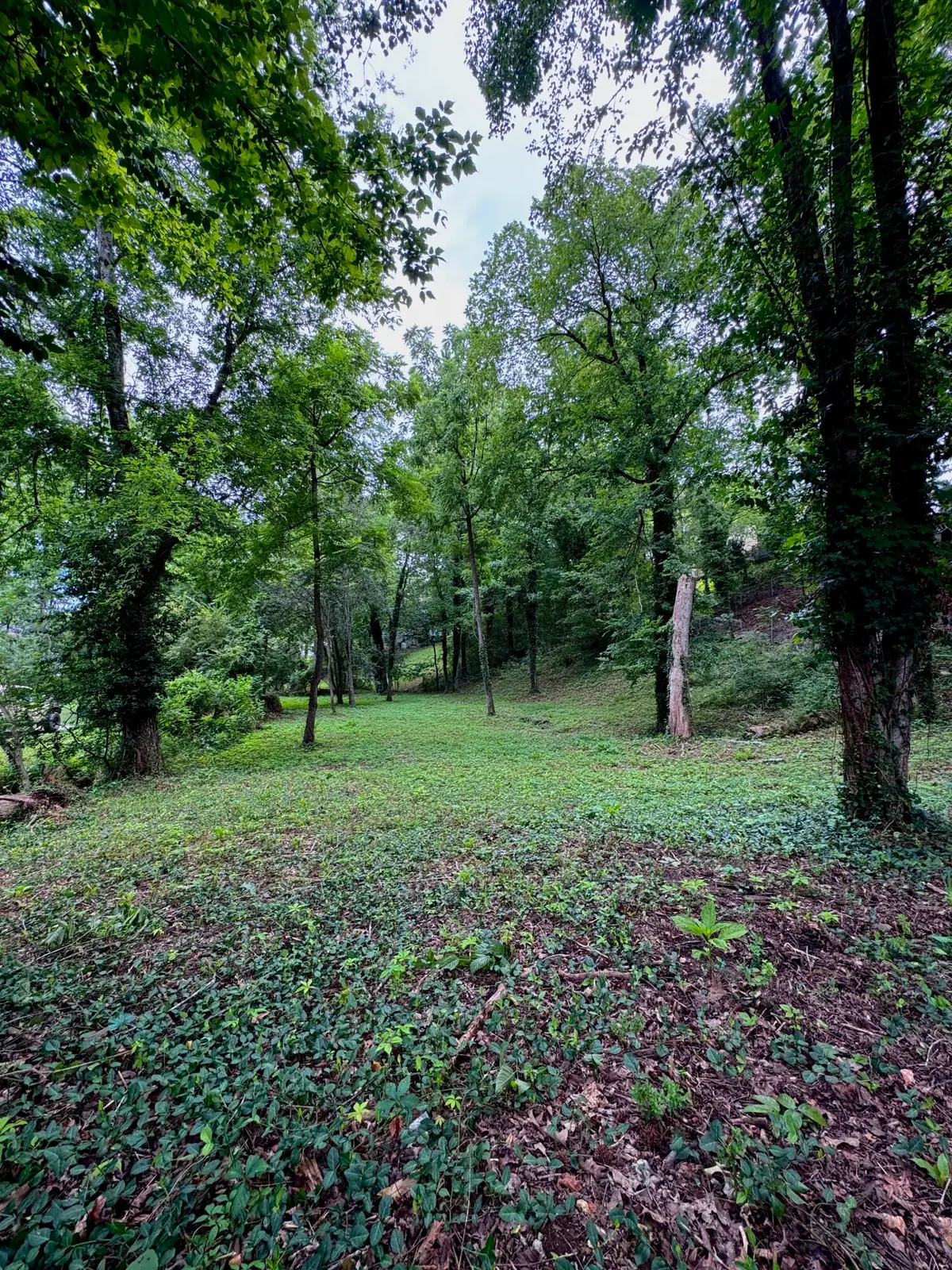 6733 Moss Lake Drive, Hixson, TN 37343 - #1