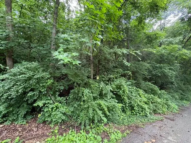163 Dal Brown Road, Chattanooga, TN 37405 - #3