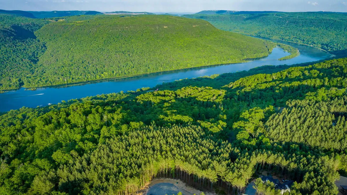 0 Back Basin Trail #Lot 1244, Guild, TN 37340 - #1
