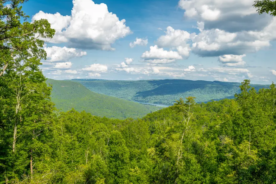 0 Back Basin Trail #Lot 1244, Guild, TN 37340 - #3