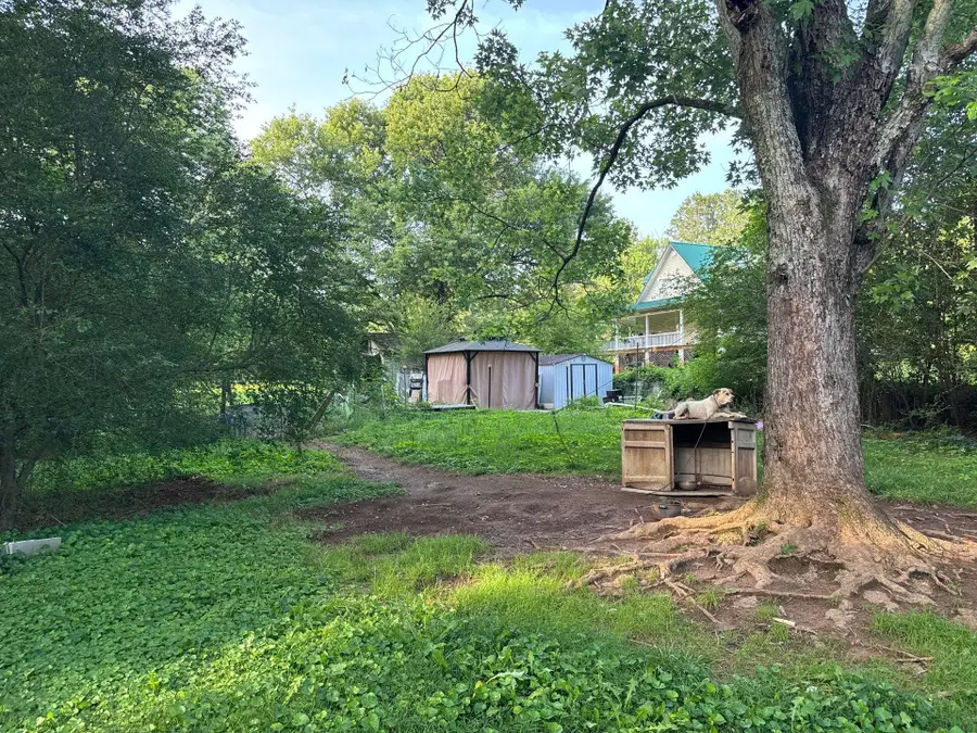 134 Farrar Road, Cohutta, GA 30710 - #3