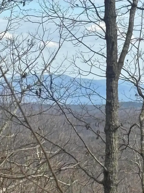 0 Forest Drive #Lot B, Ringgold, GA 30736