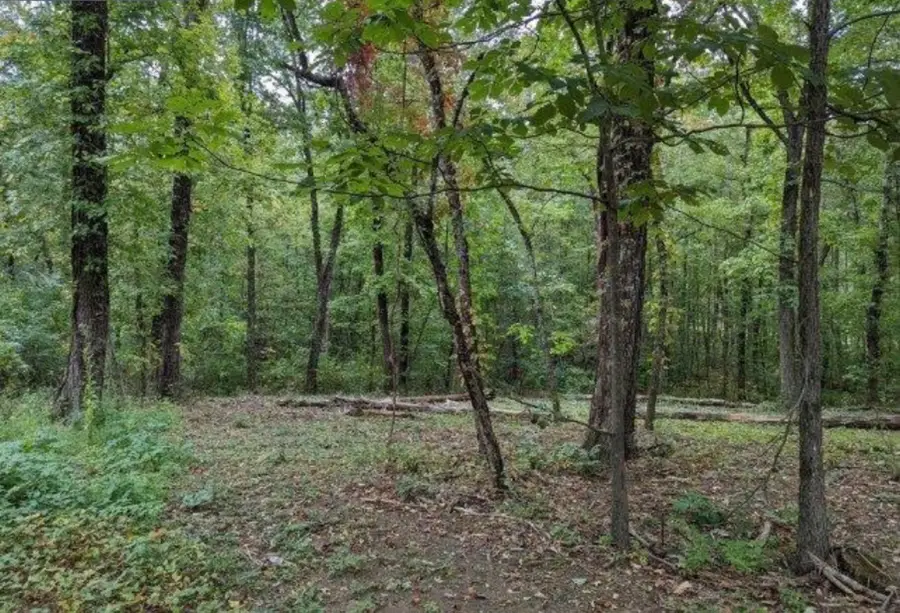 4276 Taft Highway, Signal Mountain, TN 37377 - #3