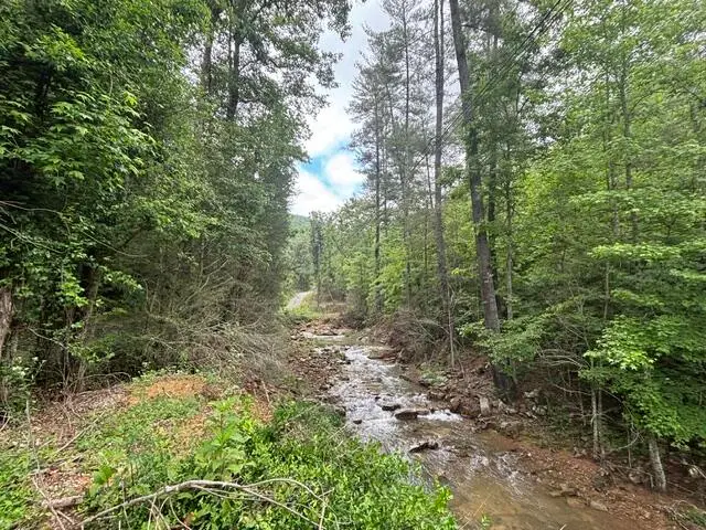 80 Hell Hole Road, Pikeville, TN 37367 - #1