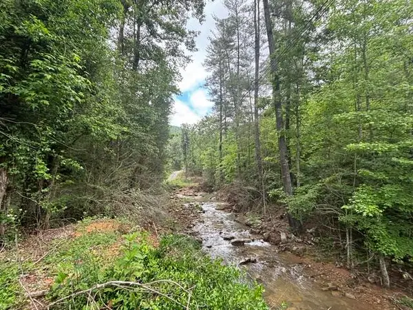 80 Hell Hole Road, Pikeville, TN 37367