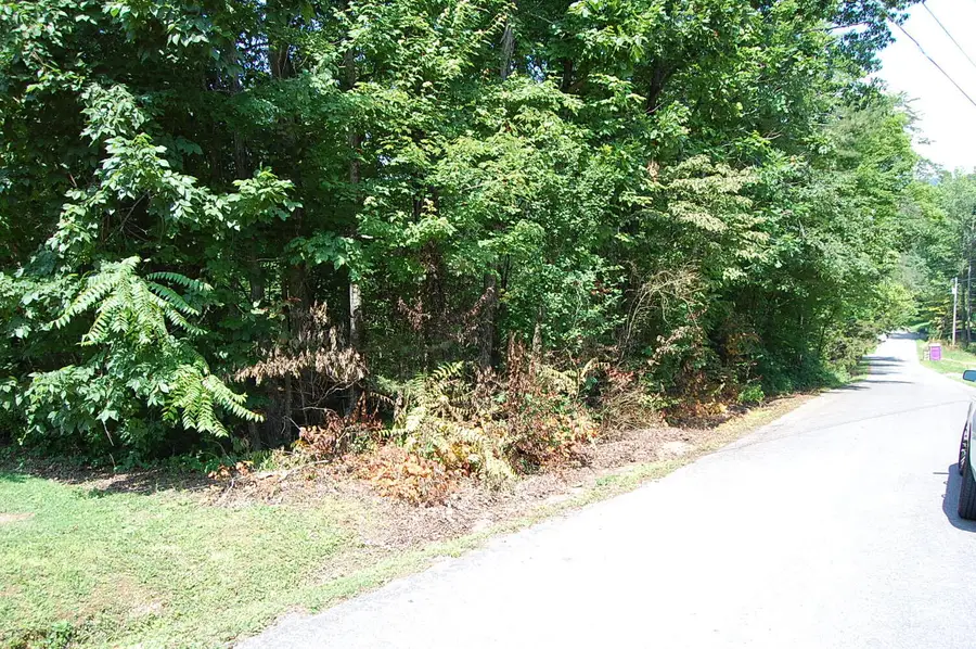 65 Dogwood Lane, Dunlap, TN 37327 - #3