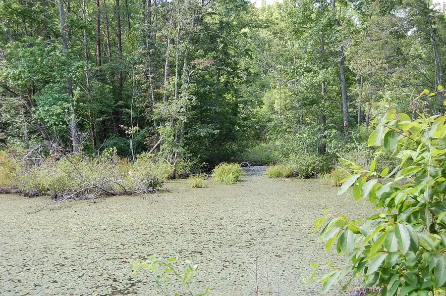 57 Hugh Allison Road, Pikeville, TN 37367 - #3