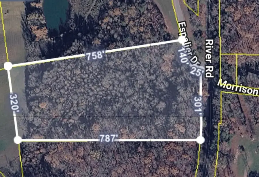 20 Espalier Drive #Lot 20, Decatur, TN 37322 - #3