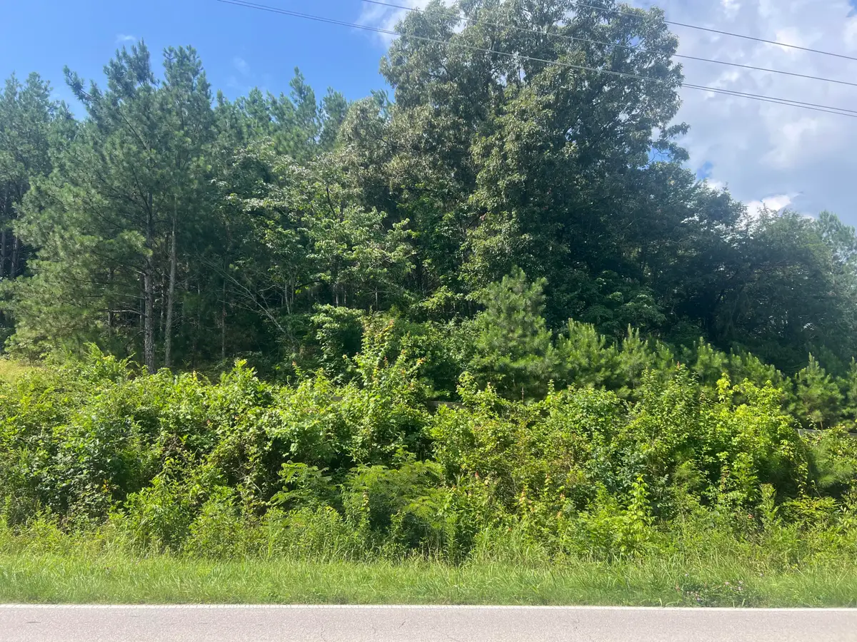 6999 Three Notch Road #Lot 5, Ringgold, GA 30736 - #1