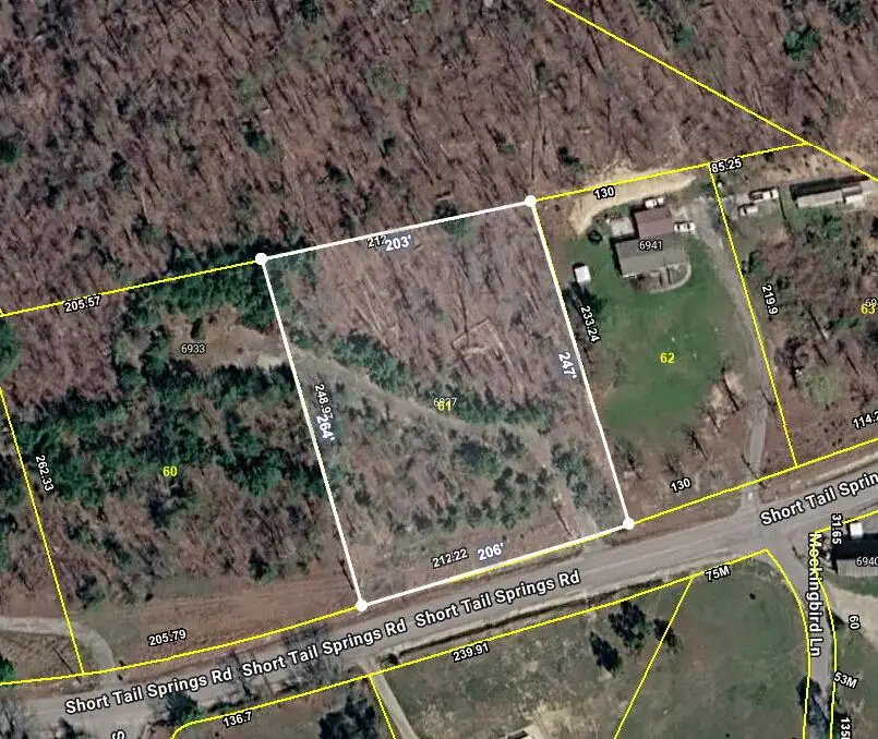 6937  6933 Short Tail Springs Road, Harrison, TN 37341 - #1