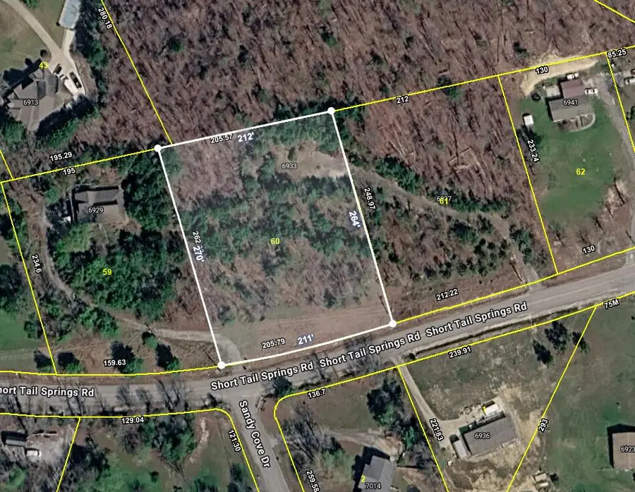 6937  6933 Short Tail Springs Road, Harrison, TN 37341 - #2