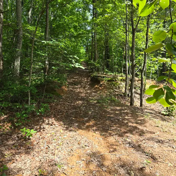 185 Co Rd 179, Decatur, TN 37322