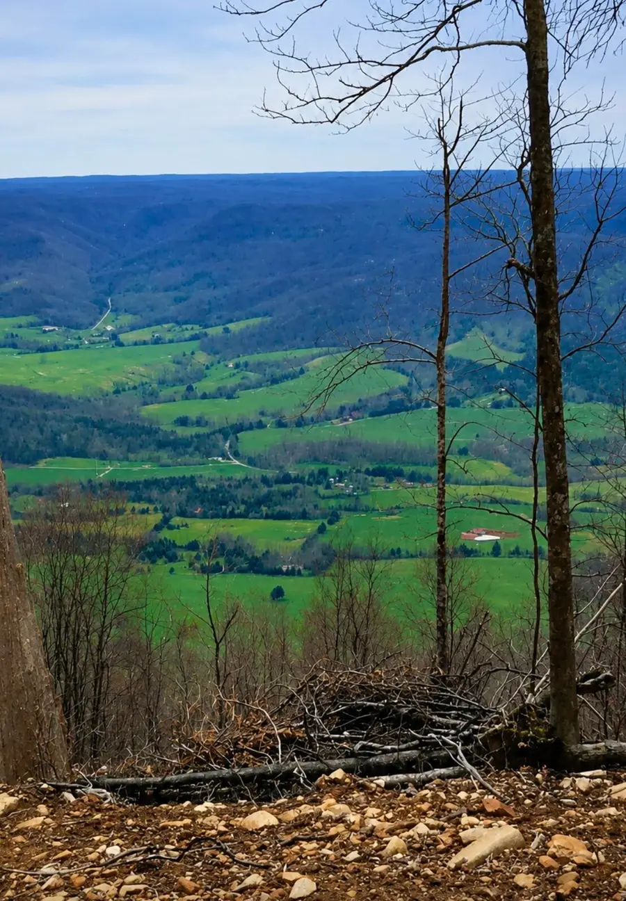 2171 Overlook Trail #Lot 26, Spring City, TN 37381 - #2
