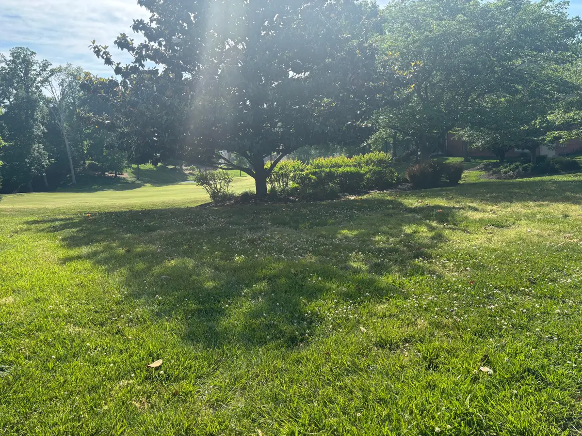 215 Valleyview Drive, Lenoir City, TN 37772 - #1