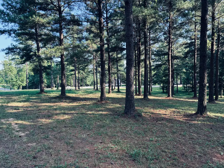 000 Raulston Falls Road, Jasper, TN 37347 - #2